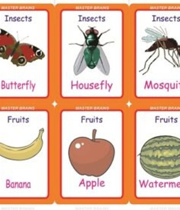 KINDER BOX PLUS – NURSERY