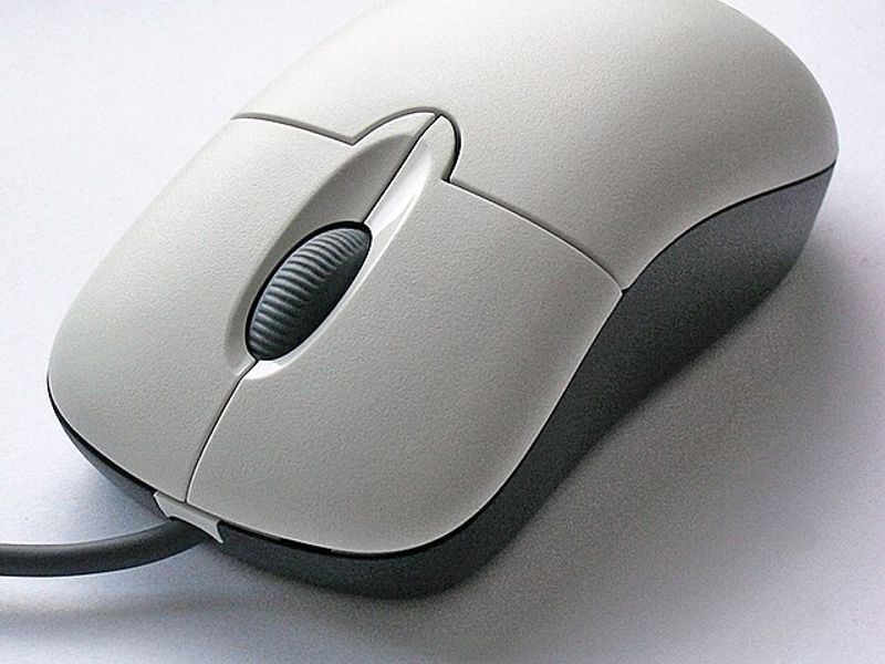 MOUSE
