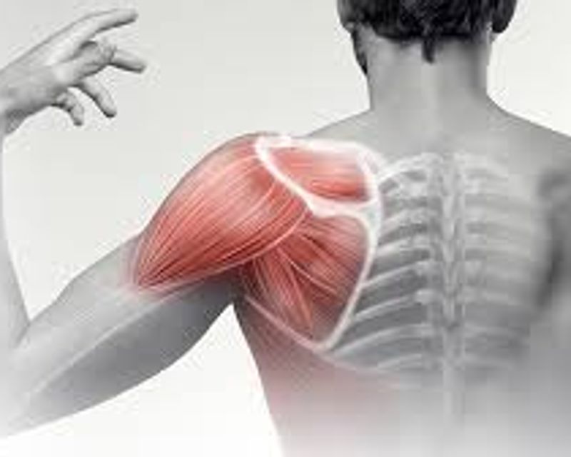 Shoulder Pain Treatment