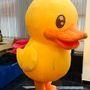 Duck Mascot