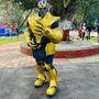 Ironman Mascot