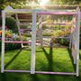 Forest Fun Jungle Gym