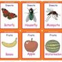 KINDER BOX PLUS – NURSERY