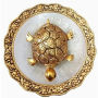 Vastu Turtle Plate Vastu Turtle Plate
