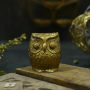 Vastu Feng Shui Antique Brass Owl For Home Decor Vastu Feng Shui Antique Brass Owl For Home Decor