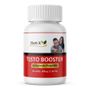 Harb X Testo Booster Capsules for Men Stamina & Energy (30 Caps, 800mg) - 100% Ayurvedic