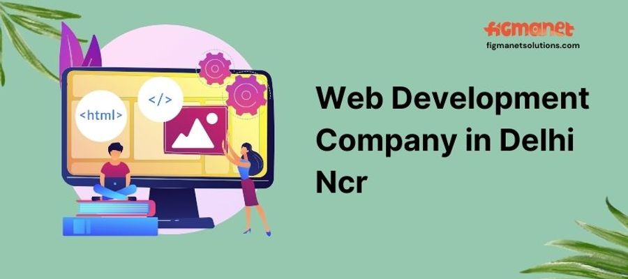 Web Development Company in Delhi Ncr