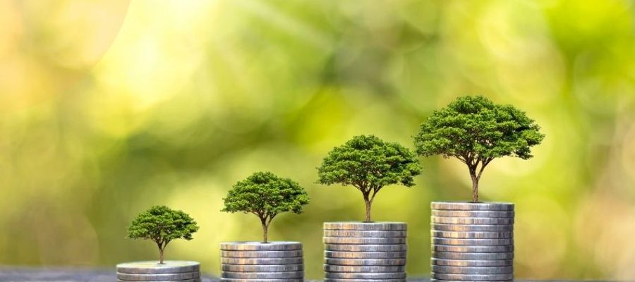 How SEO Helps Grow Your Business Online