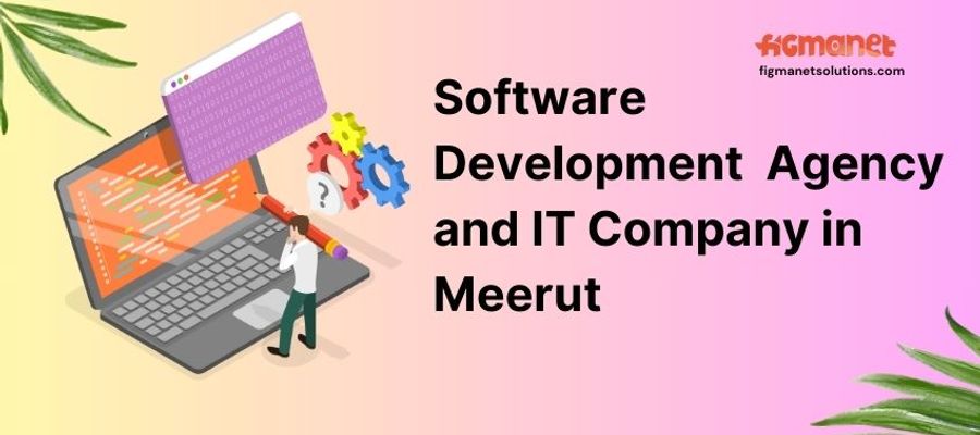 Software Development Agency and IT Company in Meerut