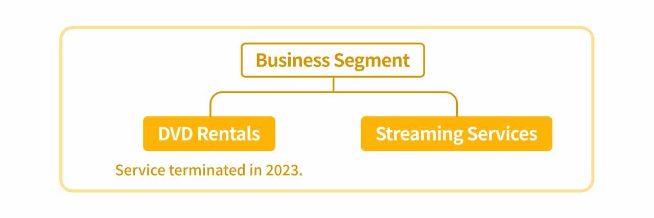 Illustrator of the business segments for Netflix.
