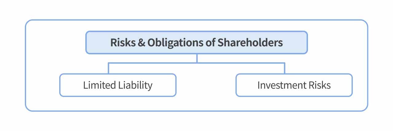Categories of shareholders’ risks and obligations.
