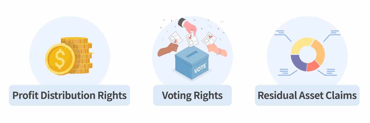 Illustrator of rights of profit distribution, voting, and claims for residual assets.