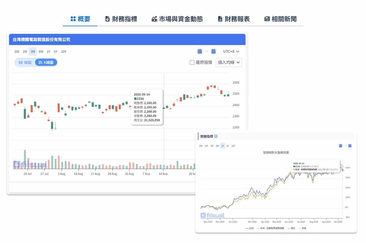 台股個股分析頁-概要頁示意截圖。