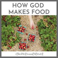 How God Makes Food