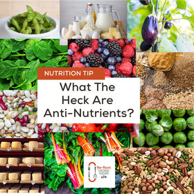 Unlocking the Mystery of Anti-Nutrients: A Comprehensive Guide