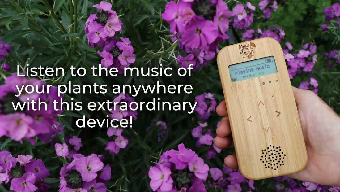 Listen to the music of your plants anywhere with this extraordinary device!