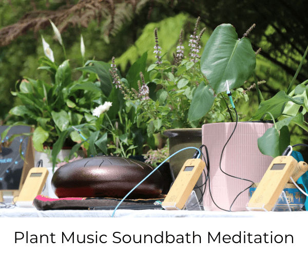 Plant Music Soundbath Meditation