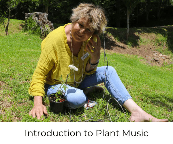 Introduction to Plant Music