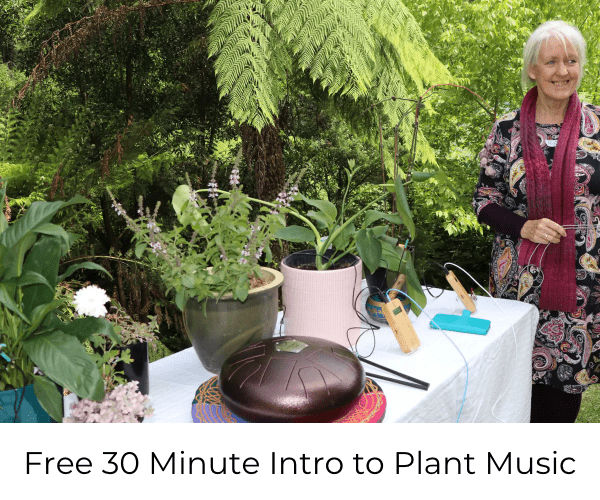 Free 30 Minute Intro to Plant Music