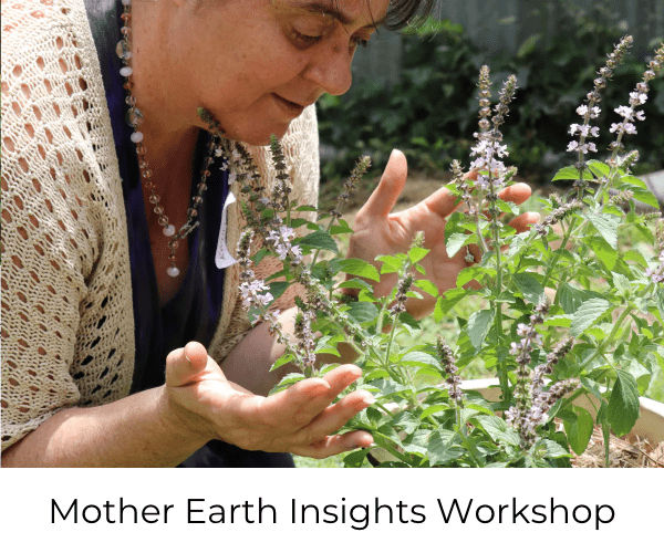 Mother Earth Insights Workshop