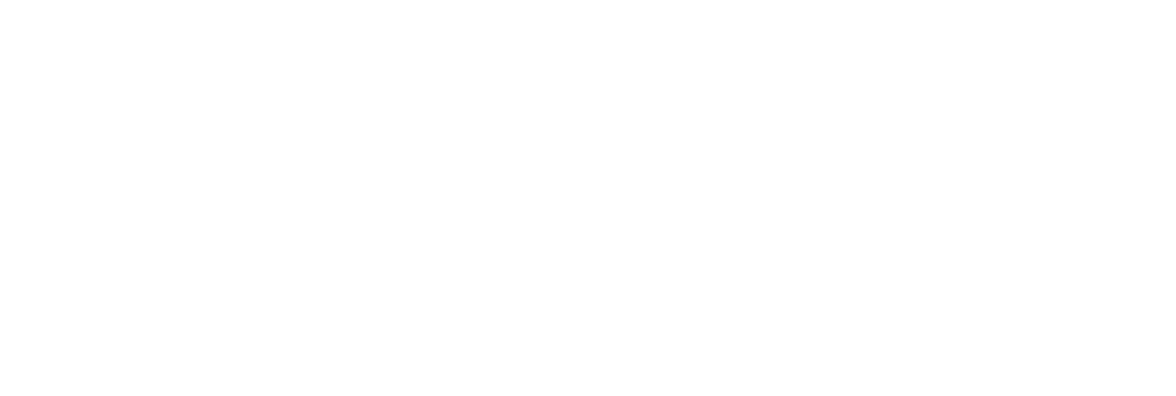 骠骑军团