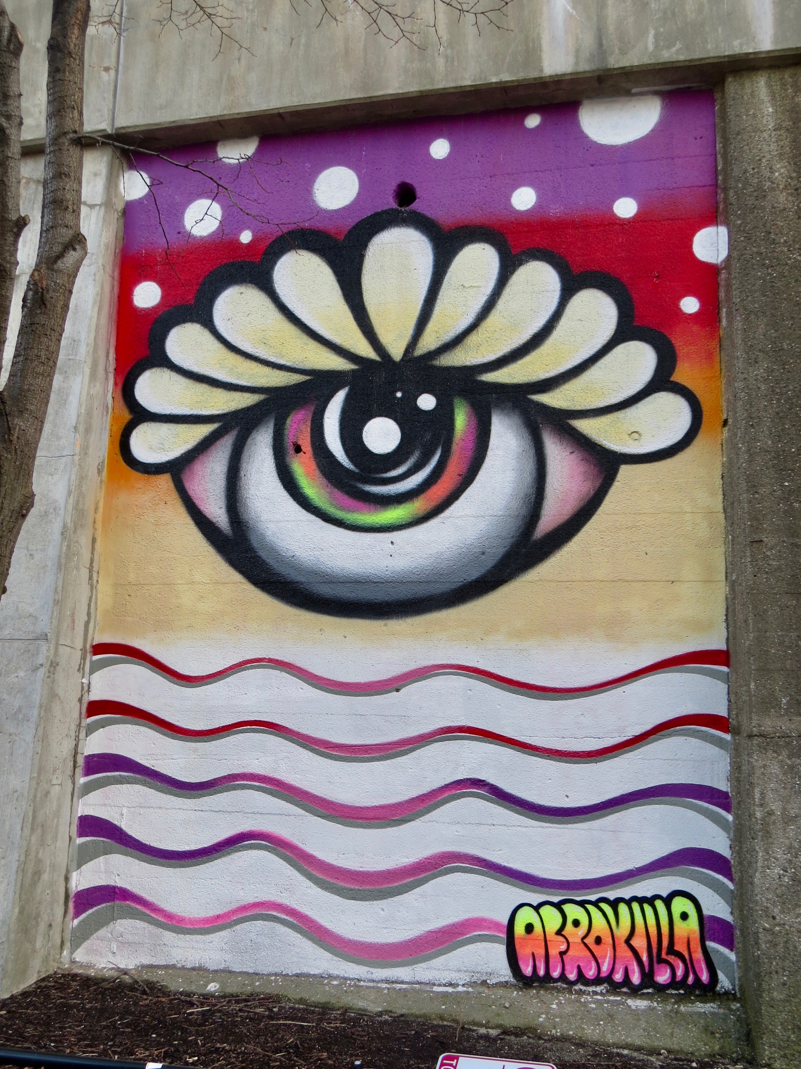 mural in Chicago by artist Afrokilla.