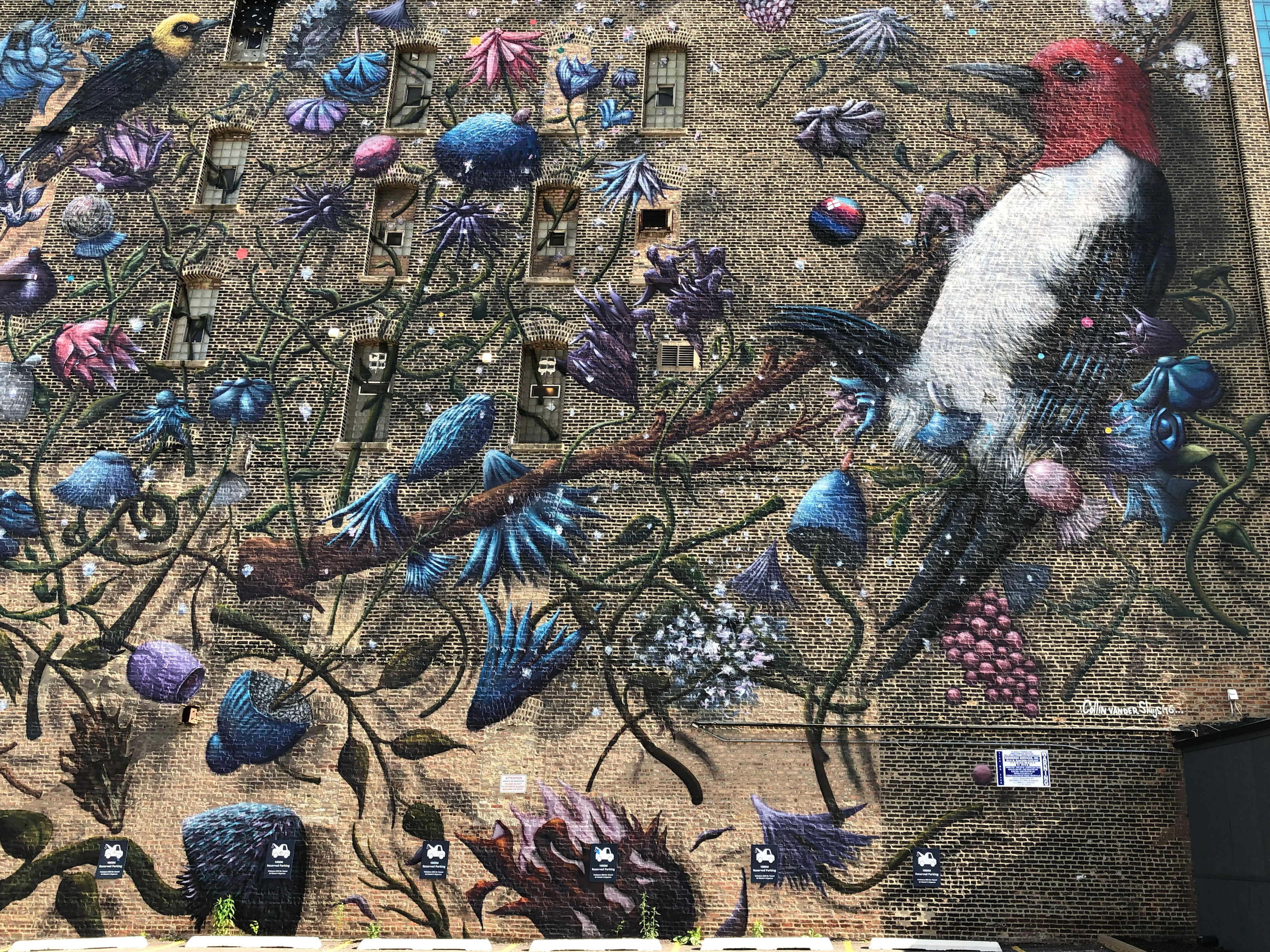 mural in Chicago by artist Collin van der Sluijs.