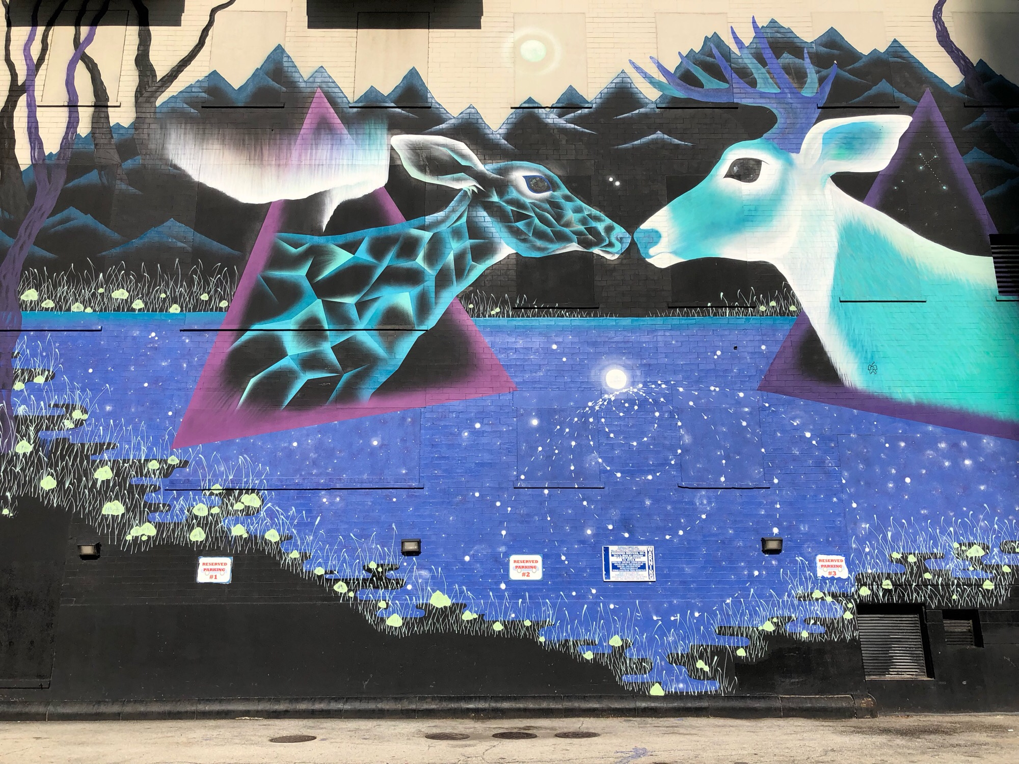 mural in Chicago by artist Marina Zumi.