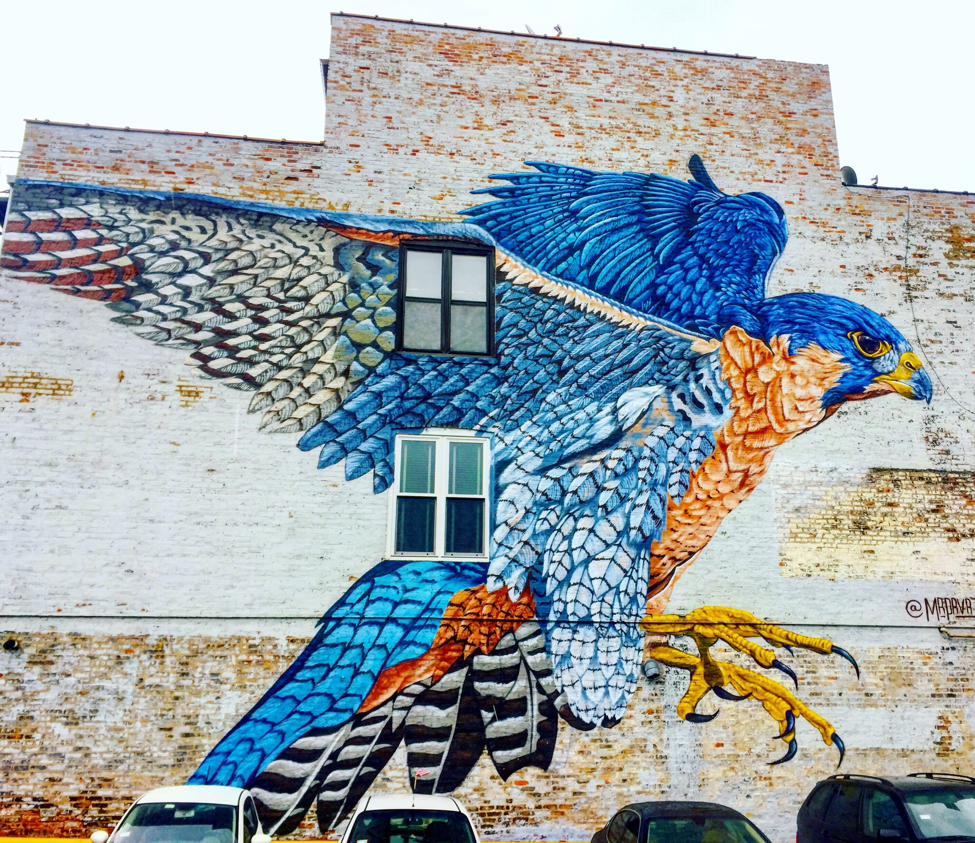 mural in Chicago by artist Justin Suarez. Tagged: animals