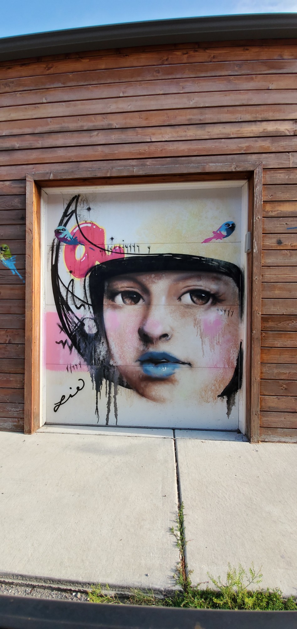 mural in Chicago by artist Lie.