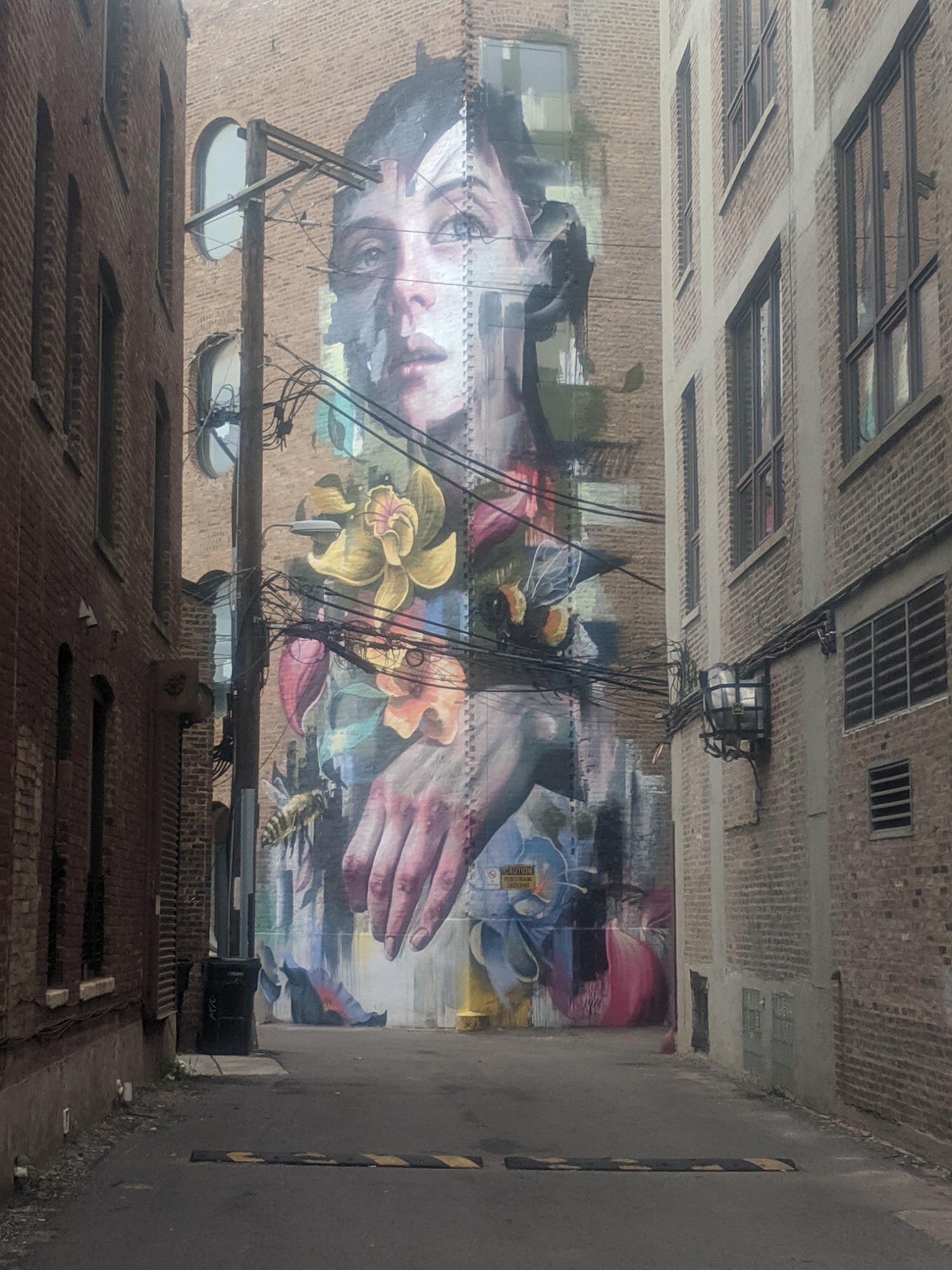 mural in Chicago by artist Eskat Valerio Ponce.