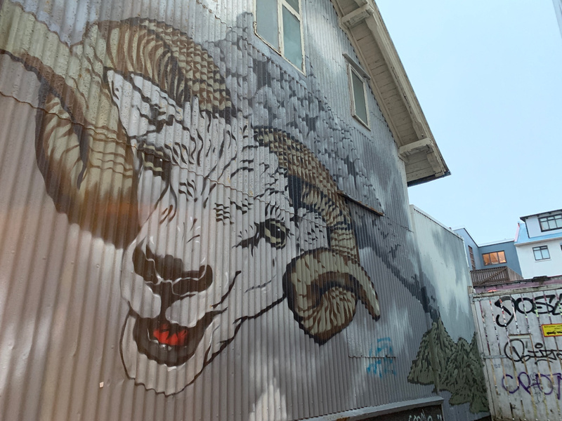 mural in Reykjavík by artist unknown.