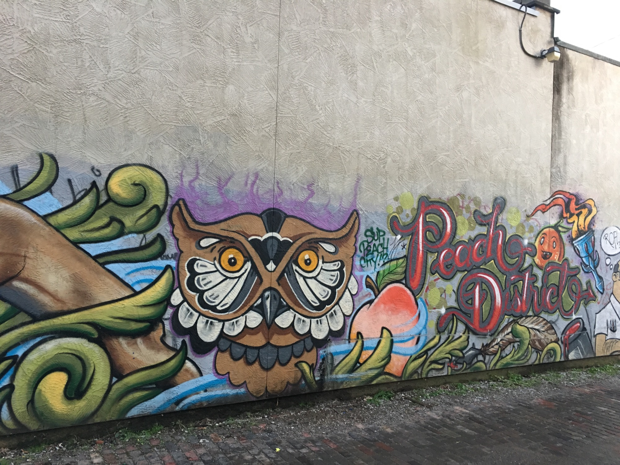 mural in Columbus by artist unknown.