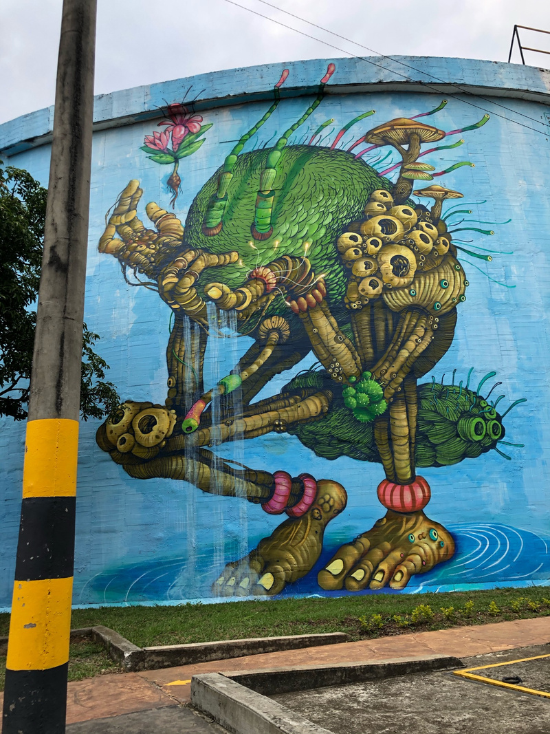 mural in Cali by artist WosnaN.