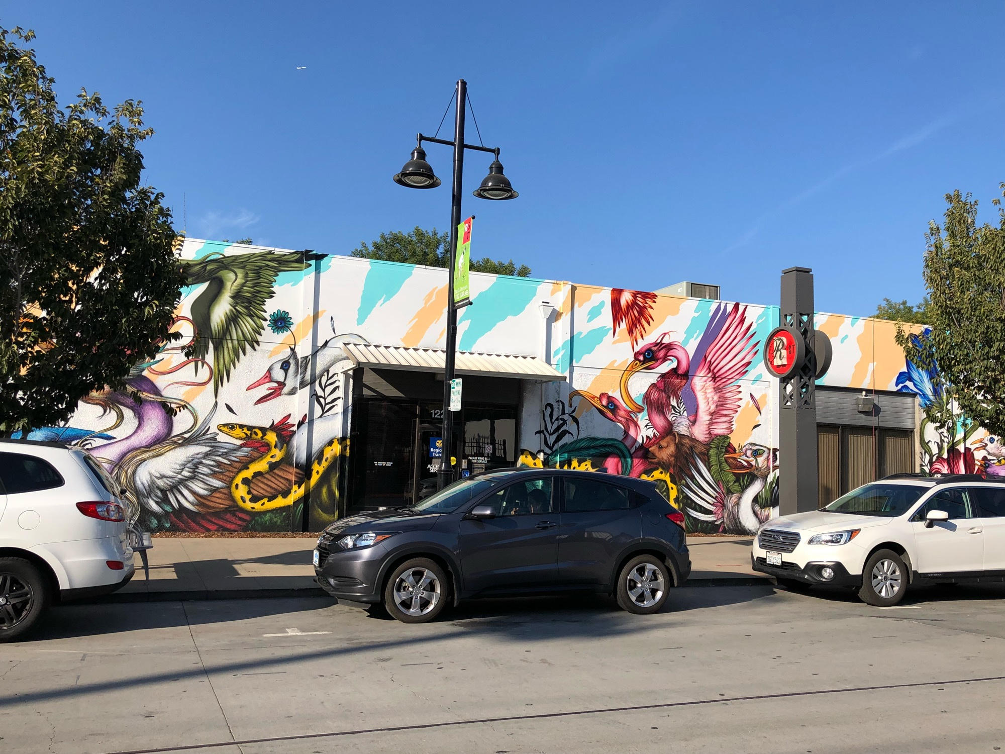 mural in Sacramento by artist Mateus Bailon.