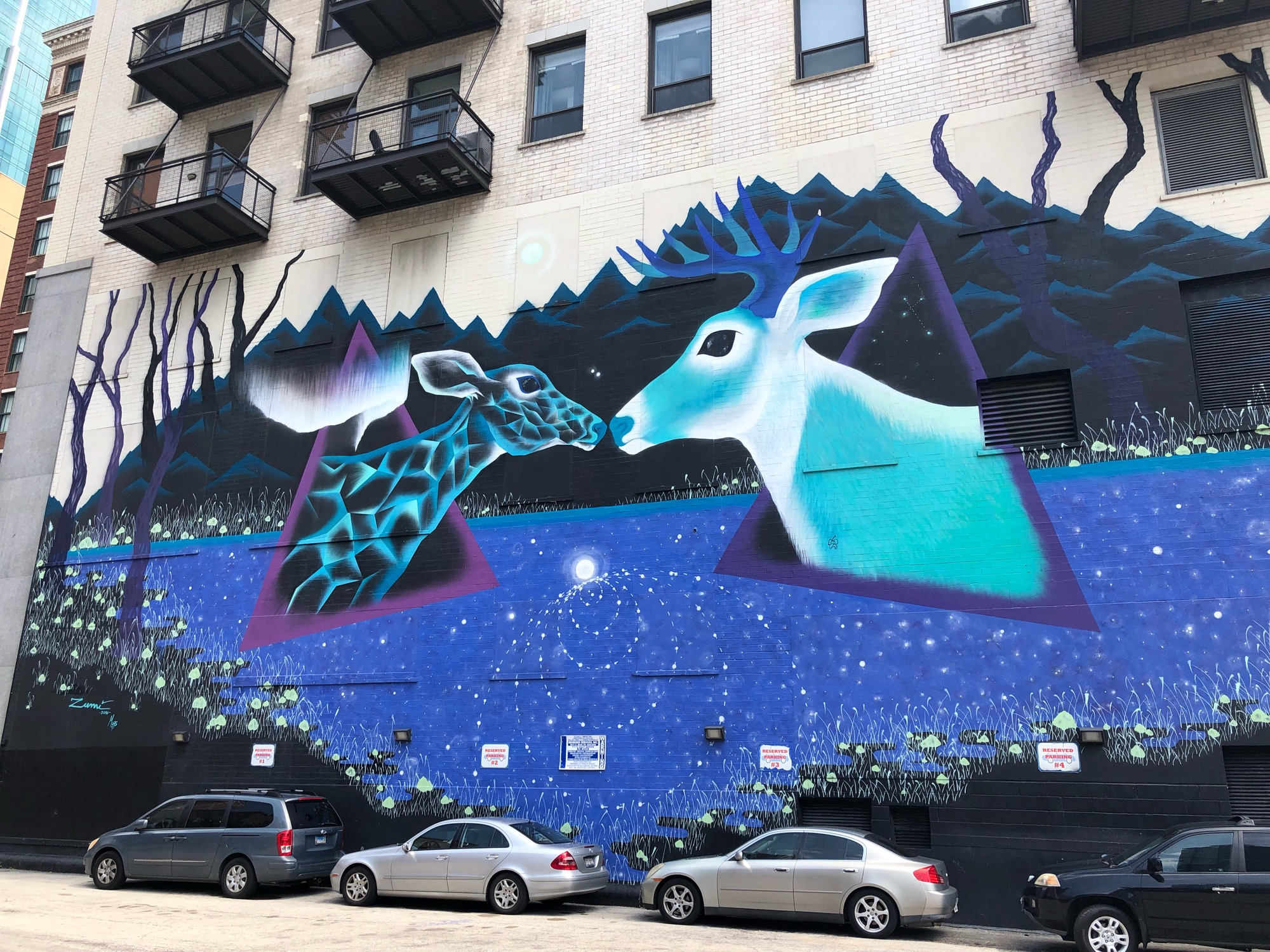 mural in Chicago by artist Marina Zumi.