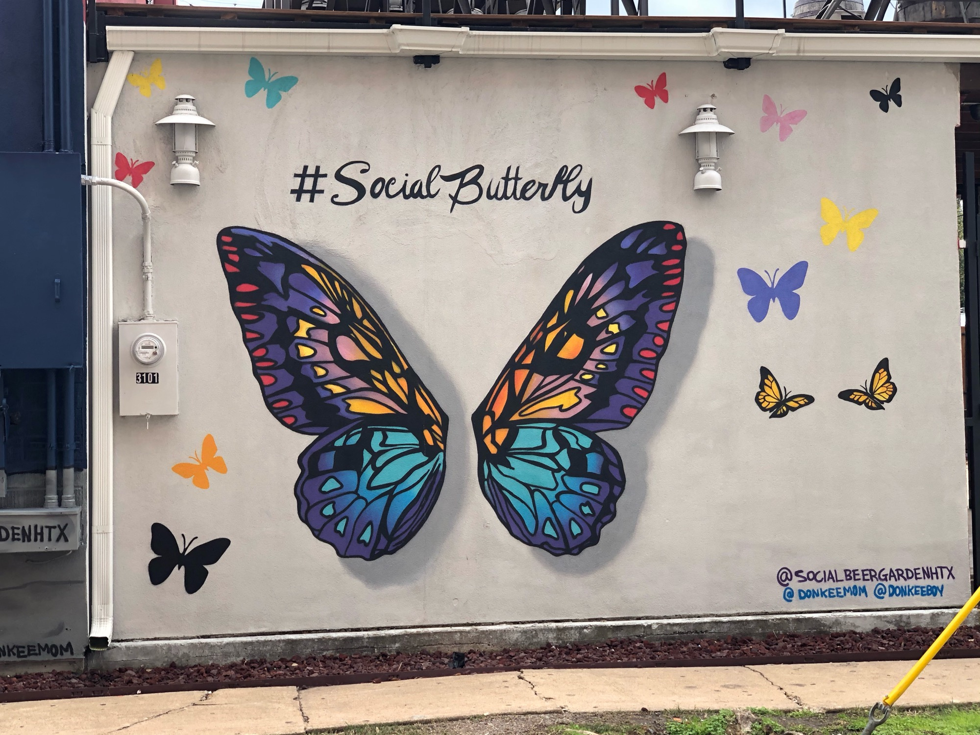 mural in Houston by artist Donkeeboy. Tagged: animals, wings