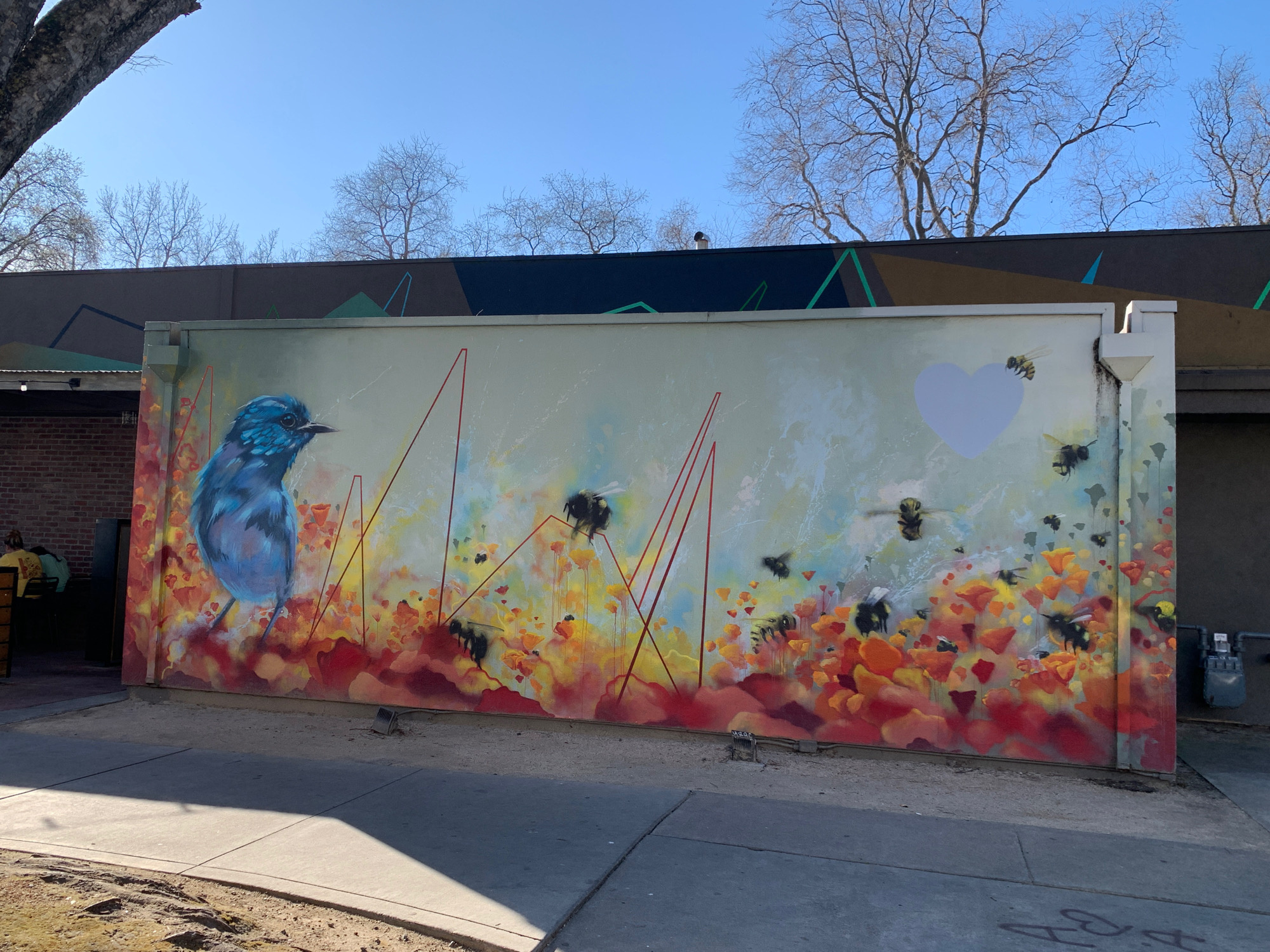 mural in Sacramento by artist Irubiel Moreno.