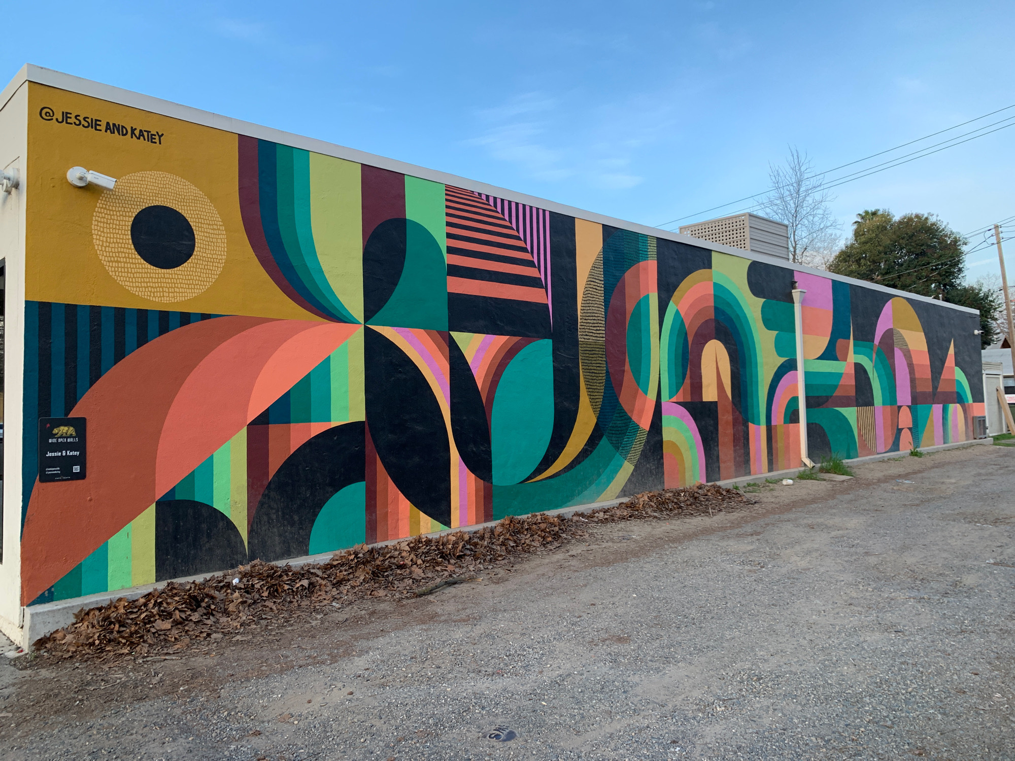 mural in Sacramento by artist Jessie and Katey.