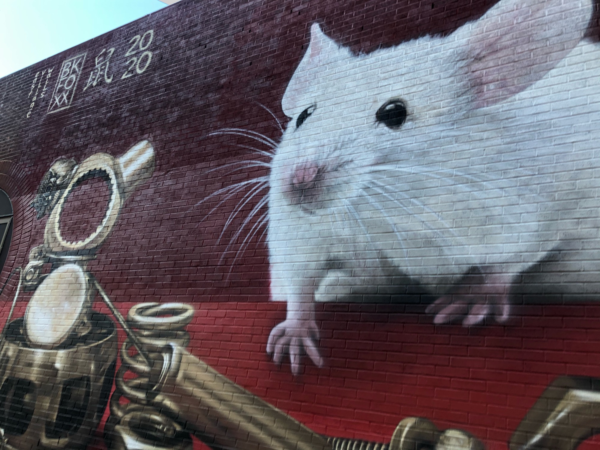 mural in New York by artist BKFoxx.