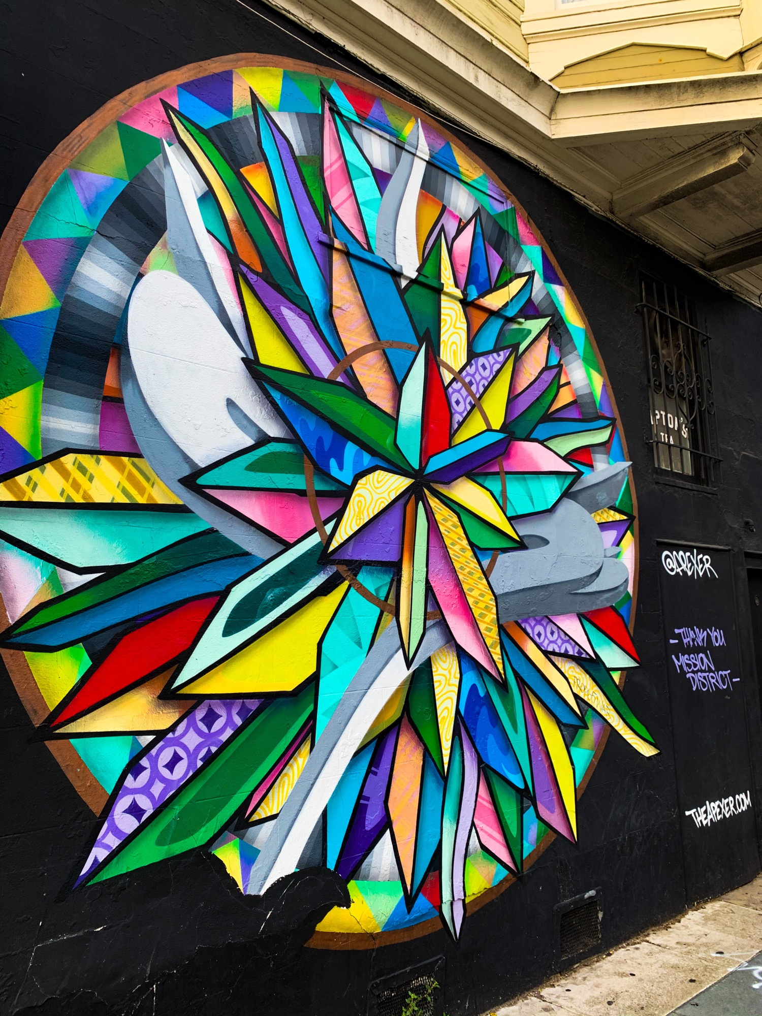 mural in San Francisco by artist APEXER.