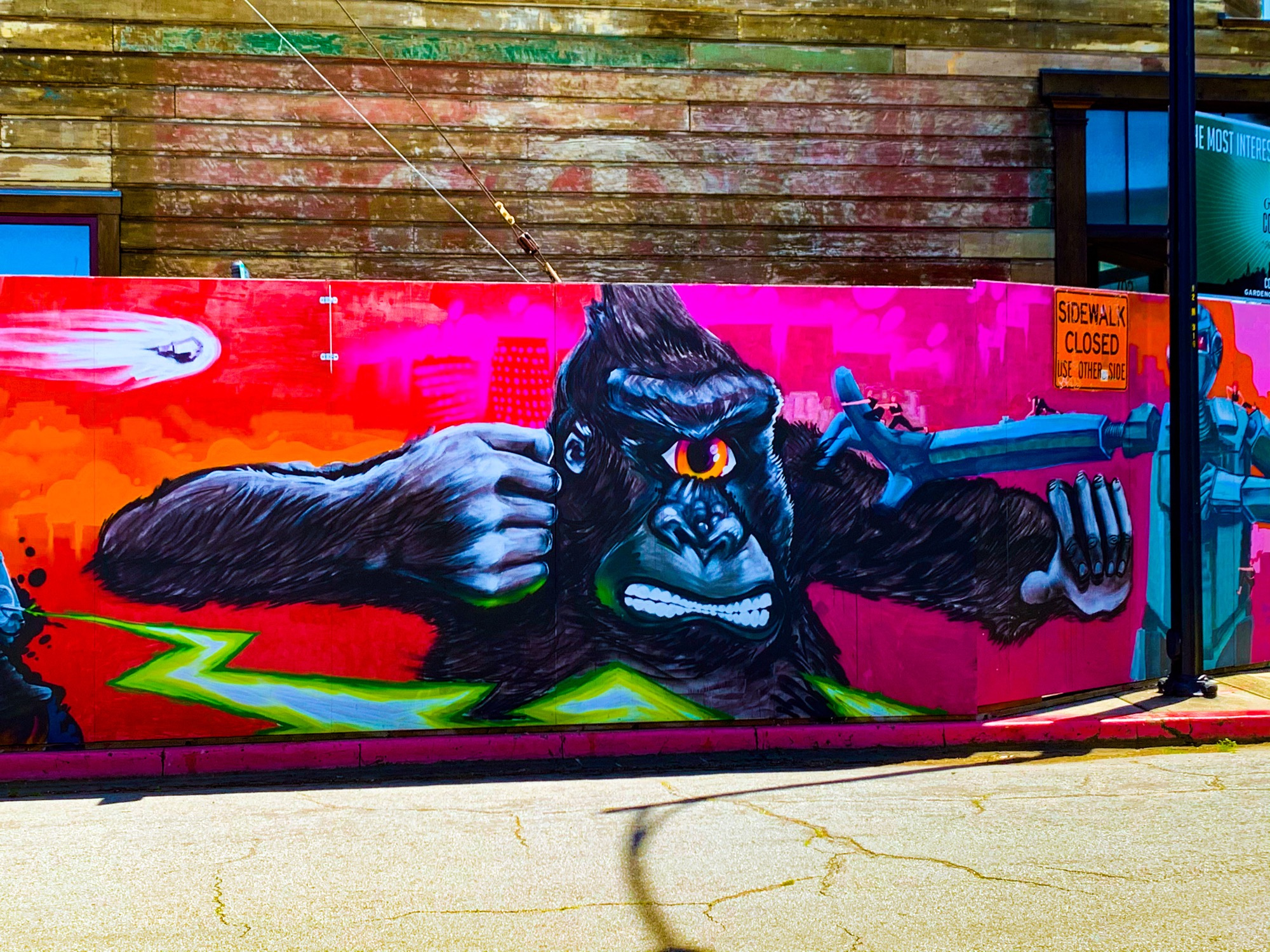 mural in San Jose by artist unknown.