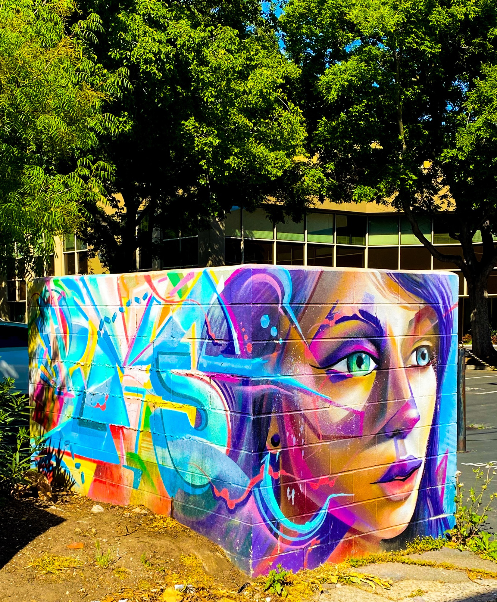 mural in Sacramento by artist Lord Pawn.