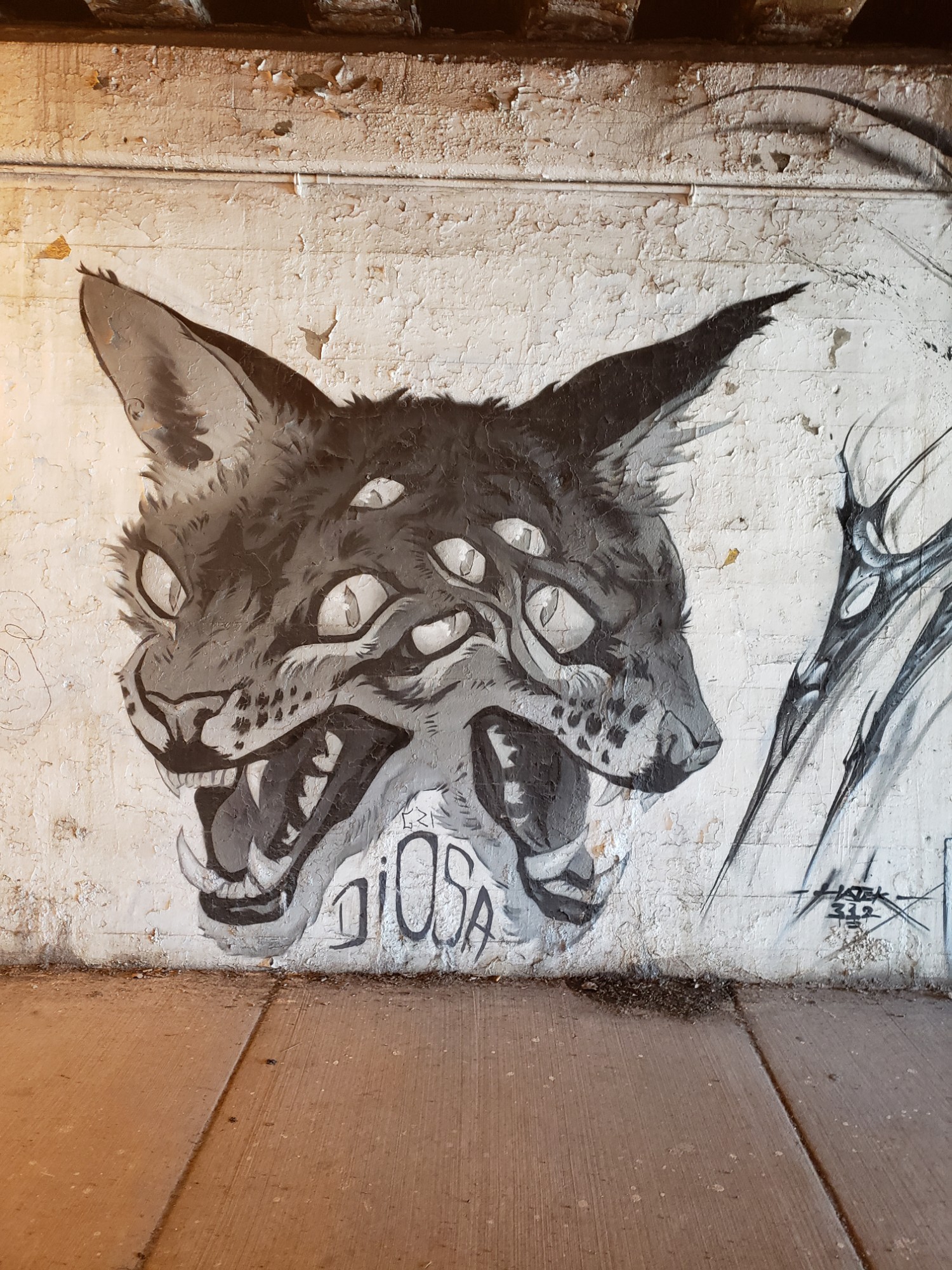 mural in Chicago by artist DIOSA.