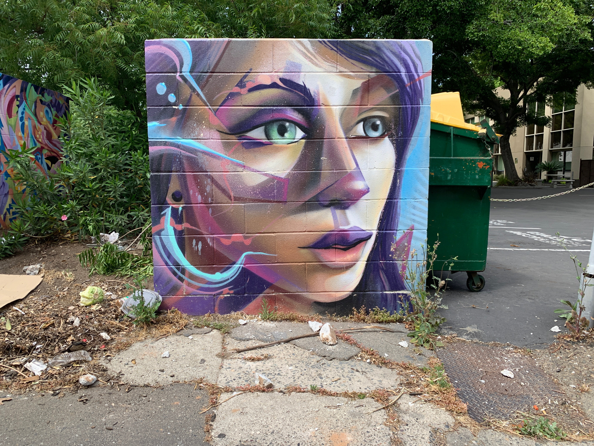 mural in Sacramento by artist Lord Pawn.