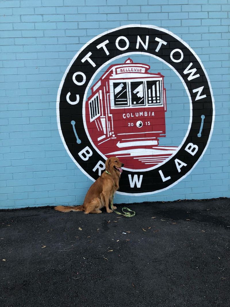 mural in Columbia by artist unknown.