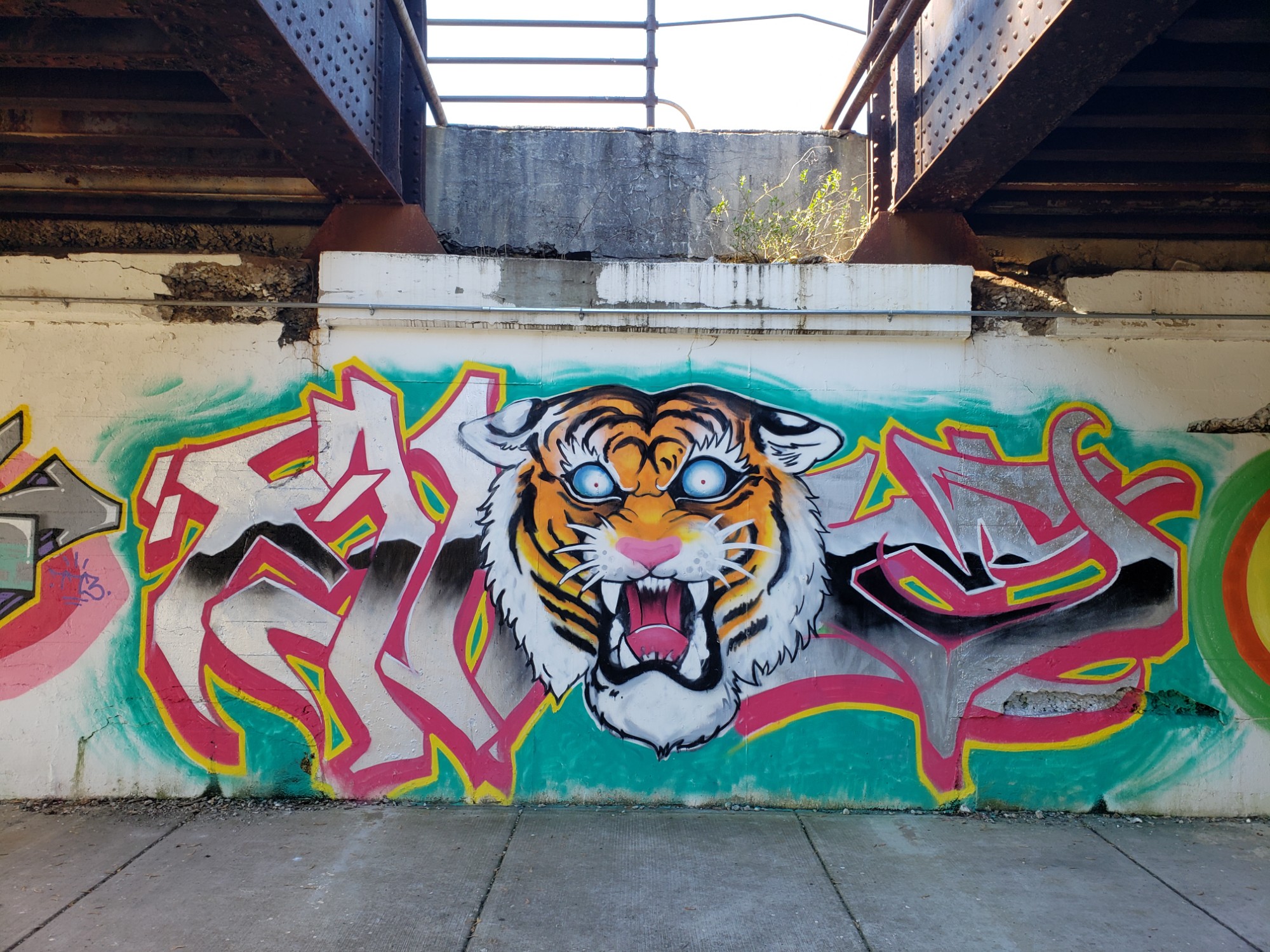 mural in Chicago by artist unknown.