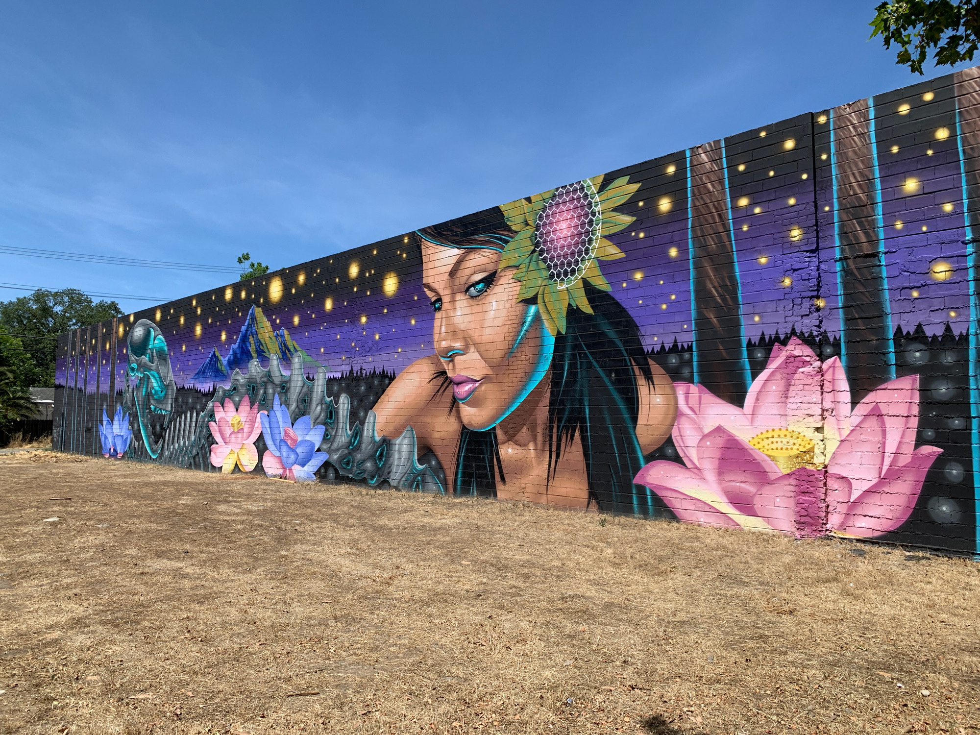 mural in Sacramento by artist Lord Pawn.