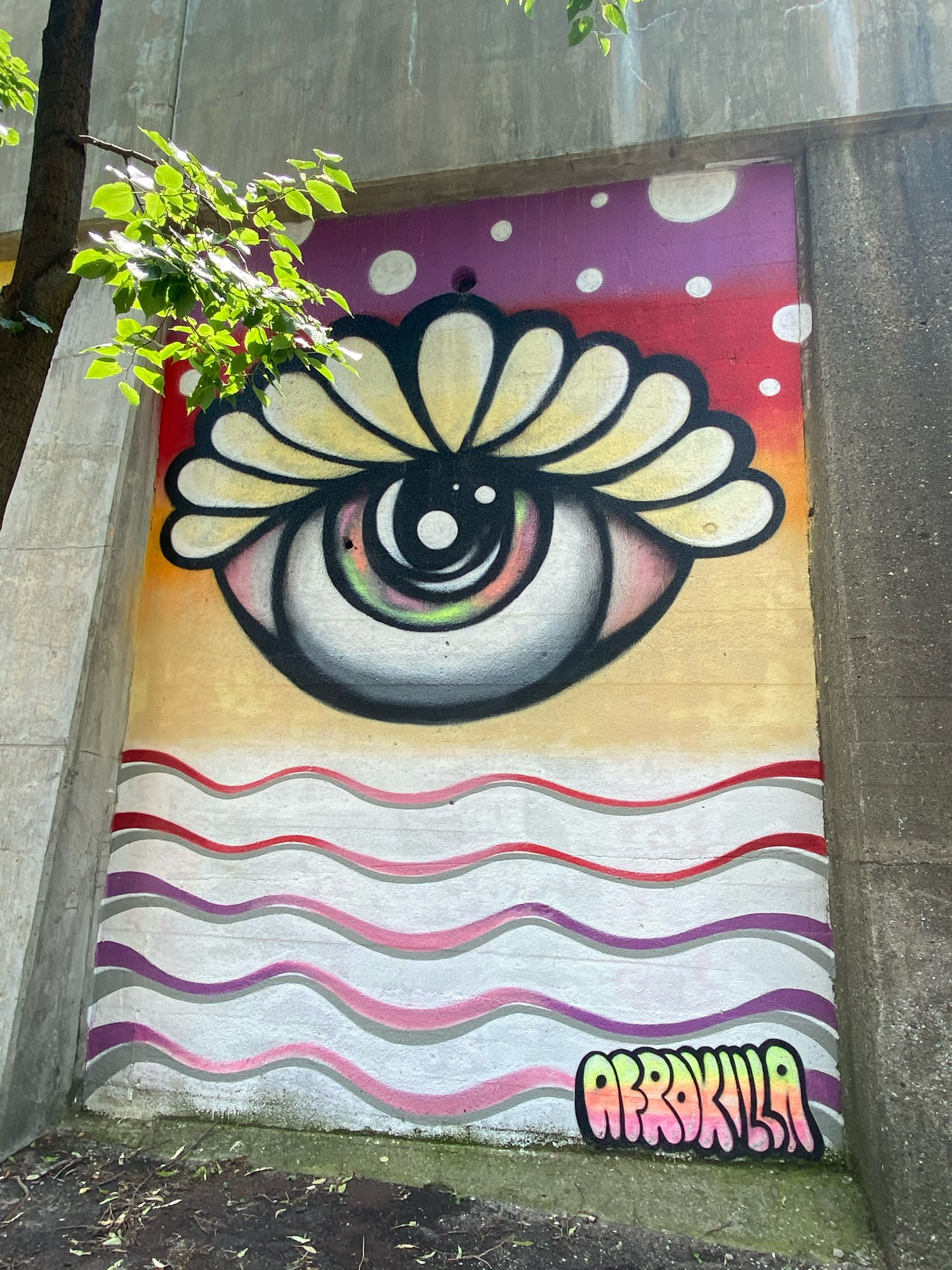 mural in Chicago by artist Afrokilla.