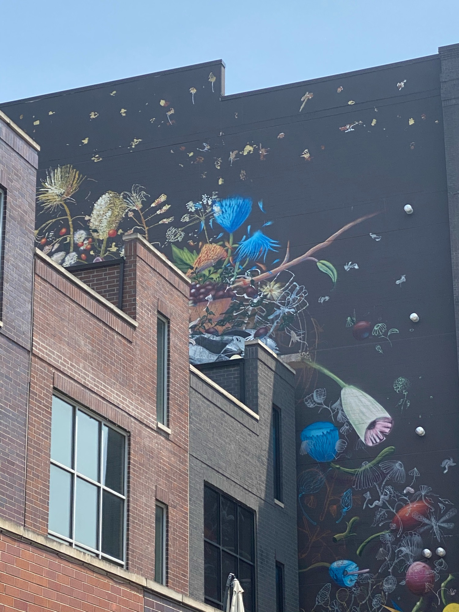 mural in Chicago by artist Collin van der Sluijs.